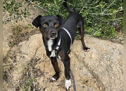 Nerino: ein Schatz für "überall mit dabei"