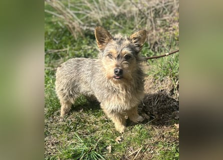 SUNNY wartet in 35329