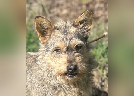 SUNNY wartet in 35329