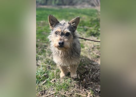 SUNNY wartet in 35329