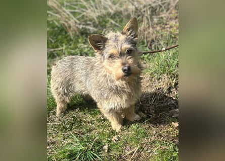 SUNNY wartet in 35329