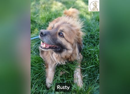 Rusty – Profi im Glücklichsein!