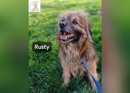Rusty – Profi im Glücklichsein!