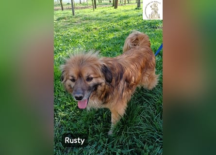 Rusty – Profi im Glücklichsein!