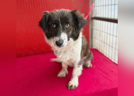 liebenswerter kleiner Schatz HEDI - 2 Jahre/35cm