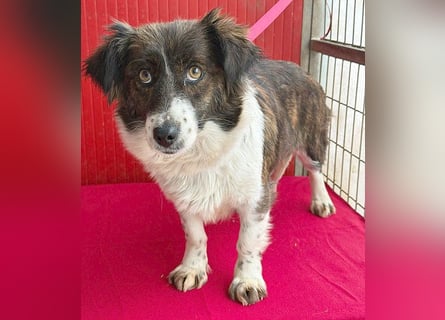 liebenswerter kleiner Schatz HEDI - 2 Jahre/35cm