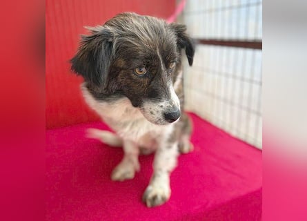 liebenswerter kleiner Schatz HEDI - 2 Jahre/35cm