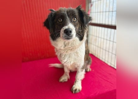 liebenswerter kleiner Schatz HEDI - 2 Jahre/35cm