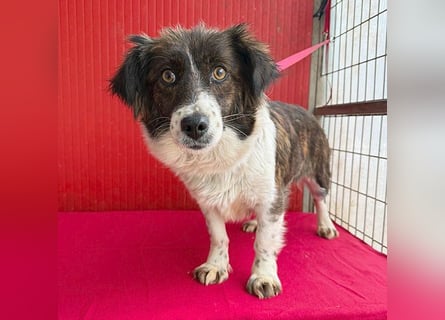 liebenswerter kleiner Schatz HEDI - 2 Jahre/35cm