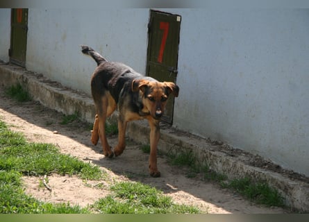 Zarte Hazel wartet so dringend