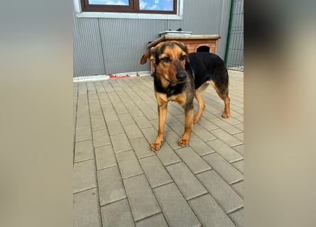 Zarte Hazel wartet so dringend