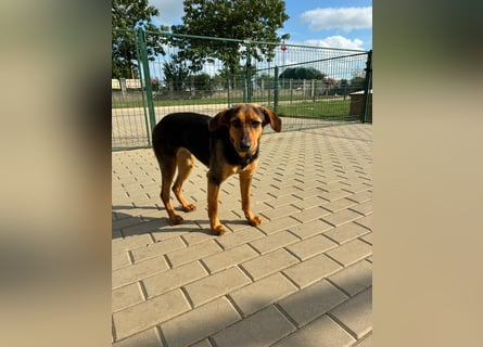 Zarte Hazel wartet so dringend