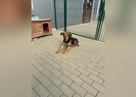 Zarte Hazel wartet so dringend