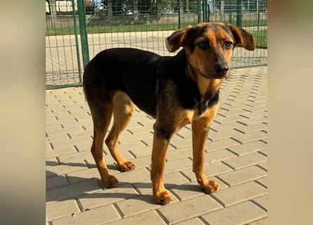Zarte Hazel wartet so dringend