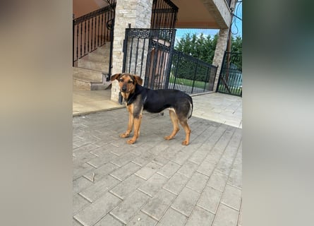 Zarte Hazel wartet so dringend
