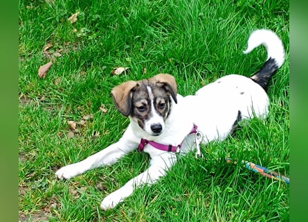 Lilly sucht ihre Lieblingsmenschen