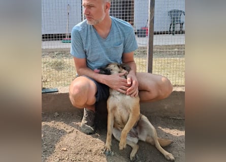 Mia - Schmusebacke ❤️