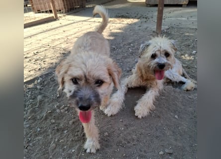 Kymana - einfach lieb!