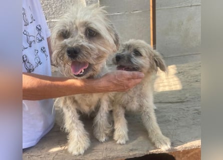 Kymana - einfach lieb!