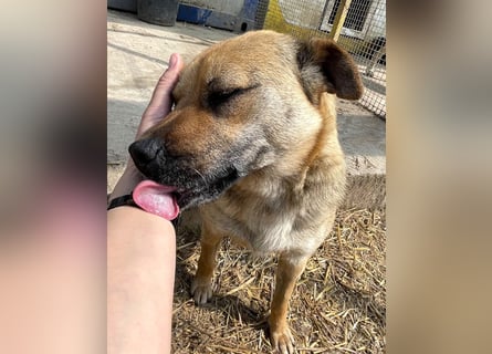 Mia - Schmusebacke ❤️