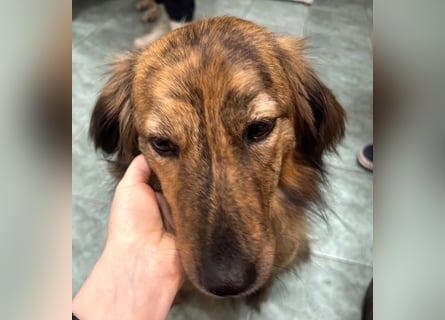 Lola - fröhliches Rollimädchen