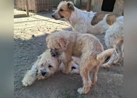 Kymana - einfach lieb!