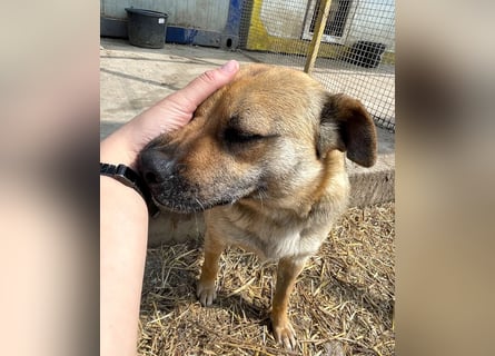 Mia - Schmusebacke ❤️