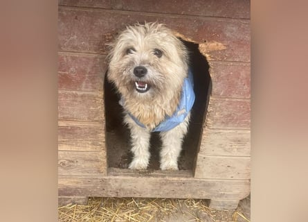 Kymana - einfach lieb!