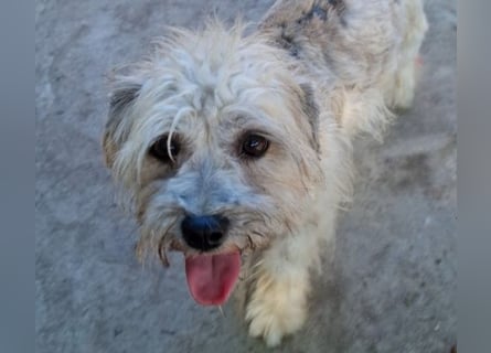 Kymana - einfach lieb!