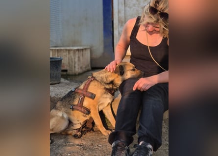 Mia - Schmusebacke ❤️