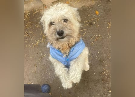 Kymana - einfach lieb!