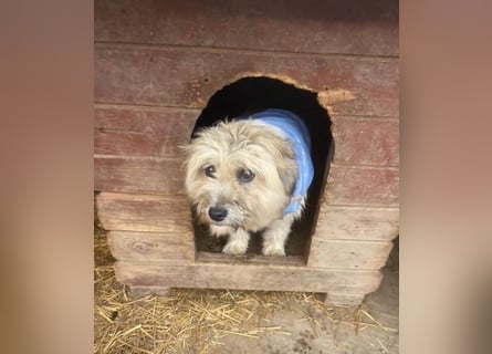 Kymana - einfach lieb!