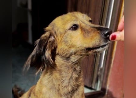 Lola - fröhliches Rollimädchen