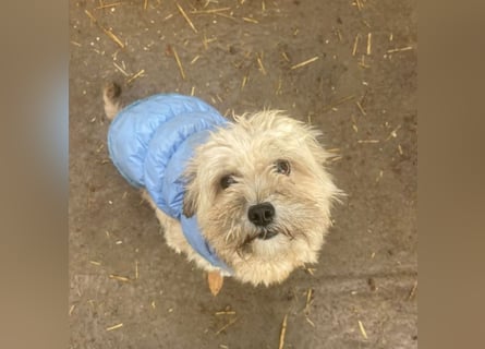 Kymana - einfach lieb!