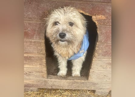 Kymana - einfach lieb!