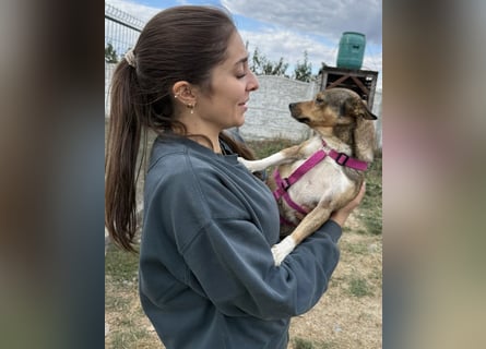 Kaylie - kleine, fürsorgliche Mama sucht ruhiges Zuhause