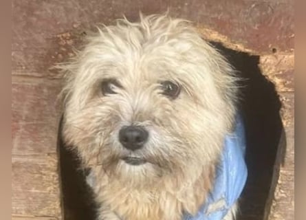 Kymana - einfach lieb!