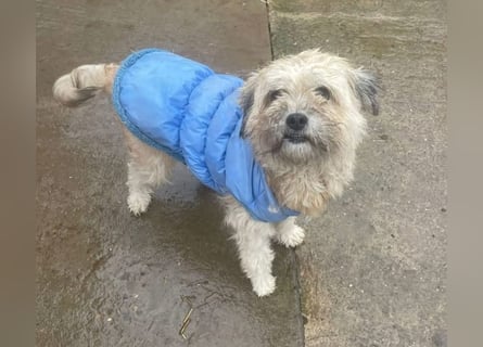 Kymana - einfach lieb!