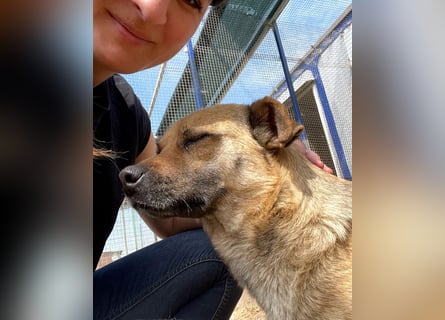 Mia - Schmusebacke ❤️