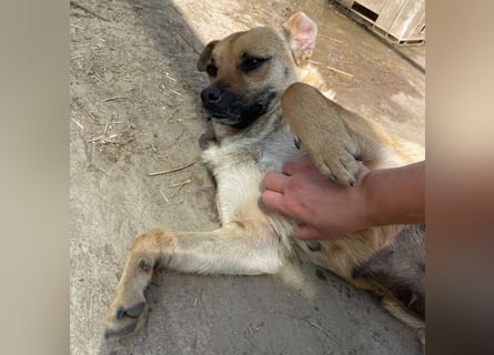 Mia - Schmusebacke ❤️