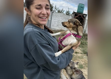 Kaylie - kleine, fürsorgliche Mama sucht ruhiges Zuhause