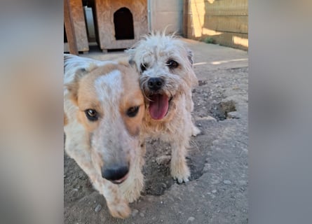 Kymana - einfach lieb!