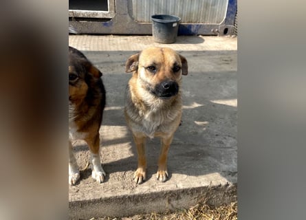 Mia - Schmusebacke ❤️