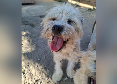 Kymana - einfach lieb!