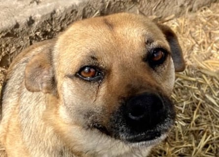 Mia - Schmusebacke ❤️