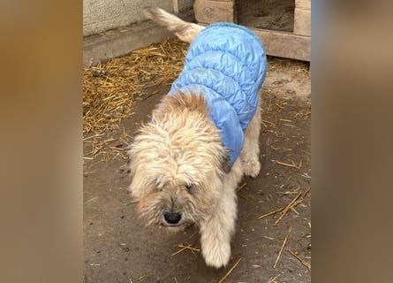 Kymana - einfach lieb!