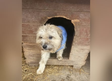 Kymana - einfach lieb!