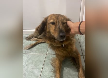 Lola - fröhliches Rollimädchen