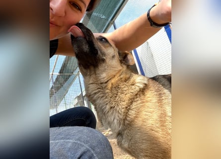 Mia - Schmusebacke ❤️