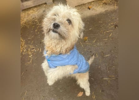 Kymana - einfach lieb!